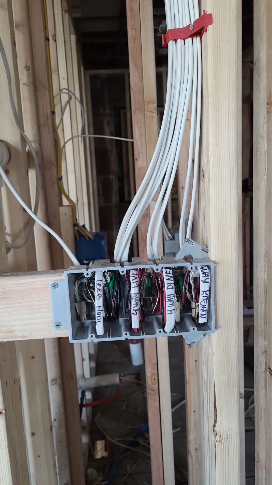 Junction box with labeled conductors, a Storm Electrical job in Massachusetts